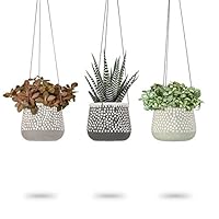 3 Pack Hanging Planter for Indoor Plants | White Concrete Pots | Round Air Succulent Holder Container | Cactus Pot with Rope Hanger | 23 Bees (3, Shades of Nature)