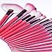 Ecvtop 22 Count Professional Cosmetic Makeup Make up Brush Brushes Set Kit with Leather Pouch (Pink)