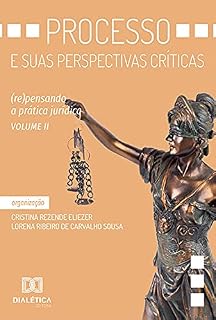 Livro Processo e suas perspectivas críticas: (re)pensando a prática jurídica - Volume 2