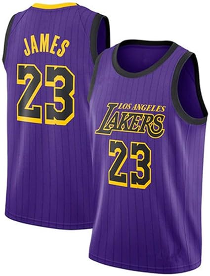 james 23 lakers