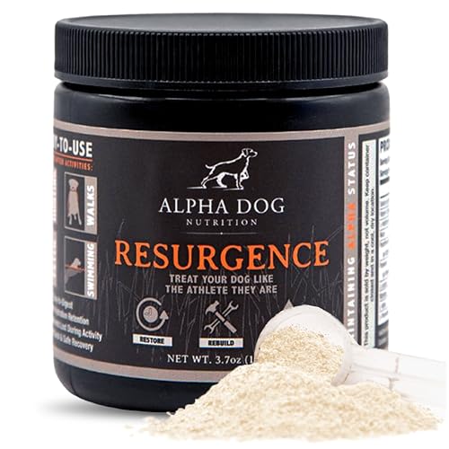 Alpha Dog Nutrition Electrolytes