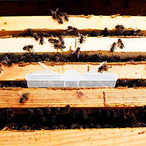 3 Plastic+Baitable+Reusable+Beekeeping+Supplies