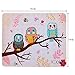 ICOLOR Cute Three Owls Design Computer Optical Neoprene Mousepad PC Mouse Mat Mice Pad Silicone Mouse Pad MP-052