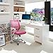 Ergonomic Home Office Computer Chair: Pink Mesh Mid-Back Fashionable Swivel Tilt, Neo Chair
