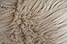 Nouvelle Legende Faux Fur Sheepskin Rug Quattro, Soft, Plush, Premium High-Pile Accent Rug for Bedrooms, Hallways & Living Spaces, Warm & Cozy, Faux Leather Backing, Easy Care, 43