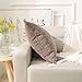 Home Brilliant Decorative Pillowcases Striped Chenille Velvet Plush Square Throw Pillow Cover Sofa Cushion Covers for Couch, Set of 2, 18x18 inch (45cm), Brown
