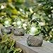 CoolPlus Frog Garden Decor Statue, Outdoor Lawn Ornaments and Figurines, Yard Decorations Art, Perfect for Patio Balcony Flower Stand Rack Indoor Desk. A Set of 3, [Original Design & Genuine Products]