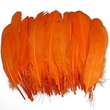 50pcs Home Decor Orange Duck Feather