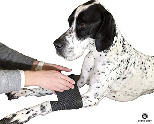 6 Bodhi+Digby+Cohesive+Bandage+Adherent