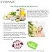 Evarne Coconut Monoi Dead Sea Salt Body Scrub with 7 Essential Oils and Vitamin E