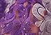 pqdaysun 5 Yards African Net Lace Fabrics Nigerian French Fabric Embroidered and Rhinestones Guipure Cord Lace (purple and white)