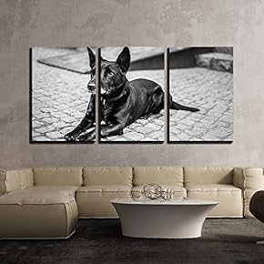3 Piece Canvas Wall Art - Black Dog Lying on The Ground - Modern Home Art Stretched and Framed Ready to Hang - 16"x24"x3 Panels