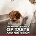 Hill's Science Diet Small & Mini, Adult 1-6, Small & Mini Breeds Premium Nutrition, Wet Dog Food, Beef & Vegetables Stew, 3.5 oz Tray, Case of 12