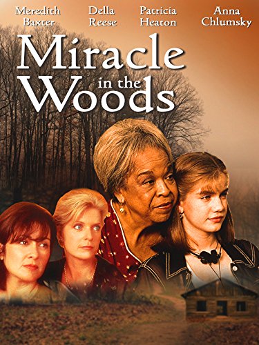 Miracle in the Woods
