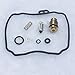 KIPA Carburetor Rebuild Repair Kit for Yamaha Virago 250 Route 66 V Star 250 XV250 V Star V-Star 650 XVS650 Custom XVS650 Custom Raven Motorcycle Carb Carburetor Repair