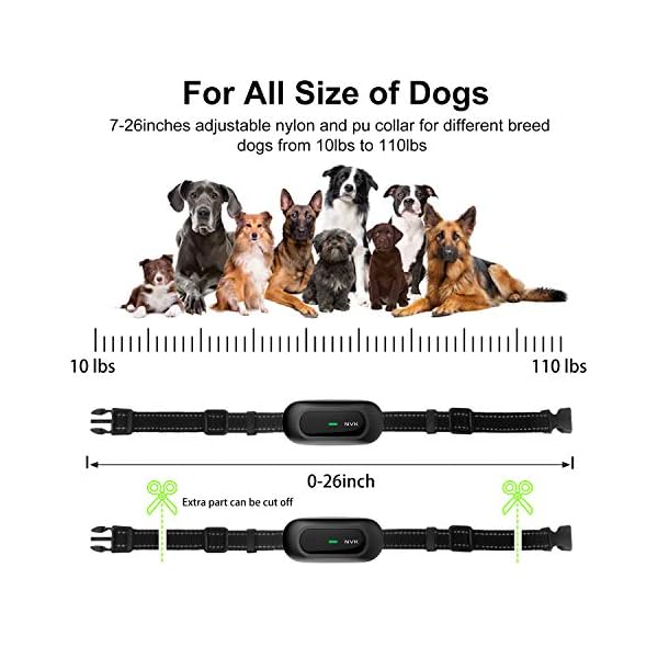 Nvk Dog Training Collar Replacement Collar