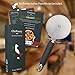 Professional Grade Pizza Cutter Wheel - Slices Quickly Easily and Effortlessly - Razor Sharp Stainless Steel Blade with Comfortable Slip Proof Handle - Gourmet Quality Kitchen Tools for Home Cooks
