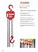 TOHO HSZ-622A OP Chain Block Hoist with Overload Protection (3 Ton, 10 Ft. Chain)