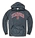 Stanford Cardinal University Arch & Tree Sweatshirt