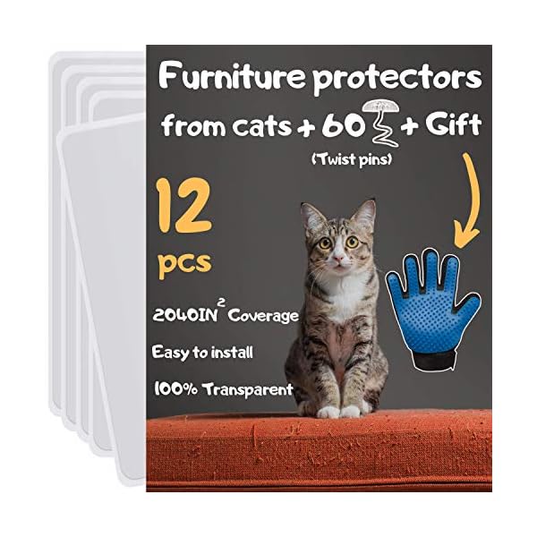 Best Cat Furniture Protector 2020 Furniture Protection From Cat Scratching
