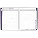 AT-A-GLANCE Weekly / Monthly Appointment Book / Planner 2017, Premium, 8-1/2 x 11
