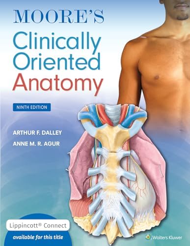 Atlas of Anatomy: 9781684202034: Medicine & Health Science Books