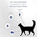 Premium Care Flea And Tick Collar For Cats | Prevents And Removes Fleas, Ticks, Lice And Mosquitos In 24 Hours | 8 Months Protection | 100% Natural Essential Oil Flea And Tick Prevention For Cats
