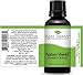 Plant Therapy Nature Shield Essential Oil Blend 30 mL (1 oz) 100% Pure, Undiluted, Natural Aromatherapy, Therapeutic Grade