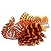 JESONN Realistic Stuffed Marine Animals Toys Fish Plush Lifelike Dolls (Lion Fish)