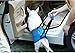 Dog Lift Harness - Support Sling Helps Dogs With Weak Front or Rear Legs Stand Up, Walk, Get Into Cars, Climb Stairs. Best Alternative to Dog Wheelchair gray-S