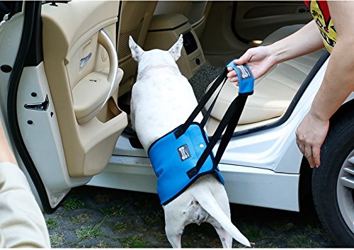 Dog Lift Harness - Support Sling Helps Dogs with Weak Front or Rear Legs Stand Up, Walk, Get Into Cars, Climb Stairs. Best Alternative to Dog Wheelchair - Gray - S