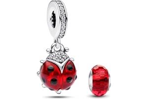 HappyStar 925 Sterling Silver Beads Charms for Bracelets and Necklace Dangle Pendants Compatible Charms Bracelets Mother's Da