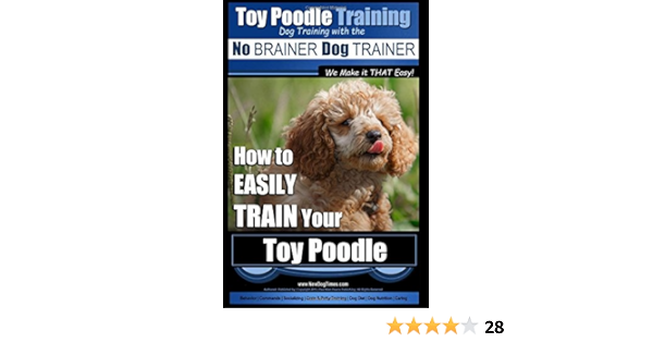 training a toy poodle
