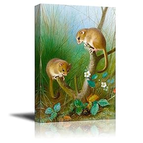 Illustration of 2 Animals Playing on a Plant - Canvas Art Home Art - 12x18 inches