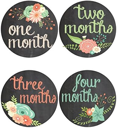Chalkboard and Flower Baby Milestone Stickers - Onesie Stickers (471)