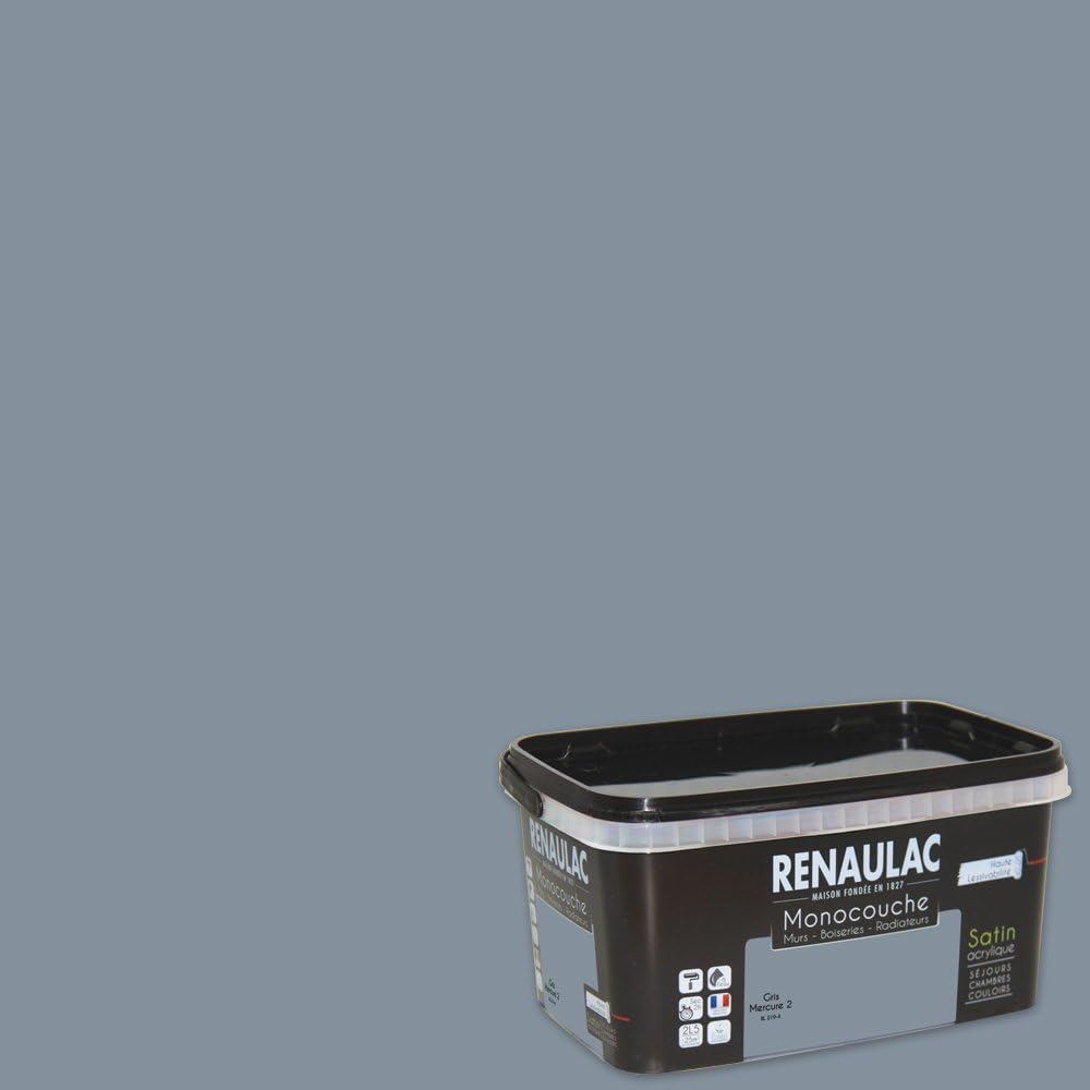 Renaulac Peinture monocouche multisupports Gris Mercure Satin 2,5L — free download
