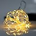 BINZET 50 LEDs 3AA Battery Operated Copper Wire String Light, 5 Meters (With Remote), Warm White