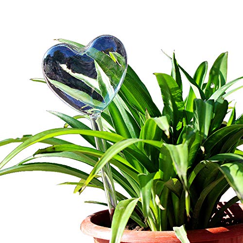 Creative Love Heart Shaped Hand Blown Clear Glass Flower Automatic Waterer Plant Self Watering System for Garden House Outdoor Small Plant Potted Plant Water Bottle Waterer Container (Sweet Heart)