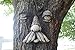 Mountain Man Tree Face (Weathered)
