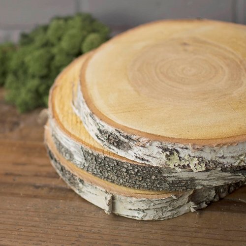 Wood Tree Round, Natural Birch Slab, Rustic, 9 to 11 in x 1 in, Large