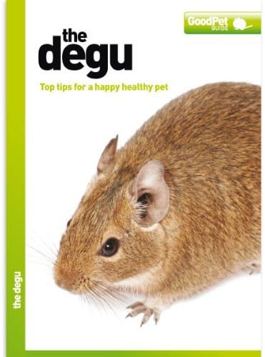 The Degu - Good Pet Guide