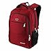 Laptop Backpack for School Travel Business Multipurpose Use, Water Resistant Polyester Fabric 17 Inch Backpack Red