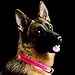 Pet Industries Metal Buckle LED Dog Collar, USB Rechargeable, Available in 7 Colors & 4 Sizes (Large [18.5-23.5