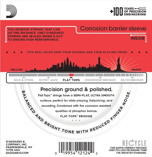 D'Addario EFT17 Flat Tops Phosphor Bronze Acoustic Guitar Strings, 13-56