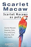 Scarlet Macaws. Scarlet Macaw pet. Scarlet Macaw Keeping, Pros and Cons, Diet, Health and Care. by Roger Rodendale