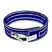Flexz Fitness Lever Buckle Powerlifting Belt 10mm Weight Lifting Violet Large