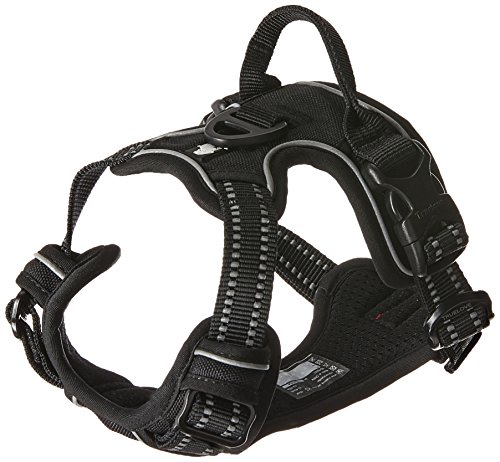 chai's choice best outdoor adventure dog harness