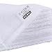 THETIS Homes Luxury Egyptian Cotton Washcloth (12-Pack, White, 12x12 Inches) - Super Soft, Fast Drying & Highly Absorbent for Bath, Kitchen, Office & Gym
