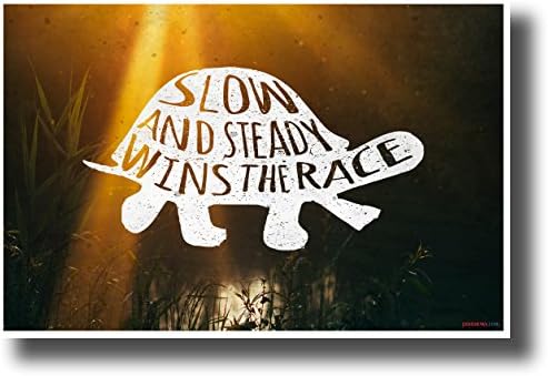 Slow and Steady Wins The Race - NEW Motivational Classroom Poster