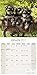 Yorkie Calendar 2017 - Yorkshire Terrier Calendar - Dog Breed Calendars - 2016 - 2017 wall calendars - 16 Month by Avonside